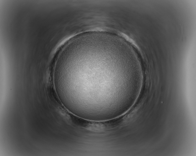 X0000085221215200703091153