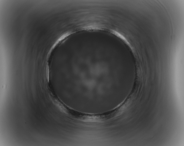 X0000085221219200703091153