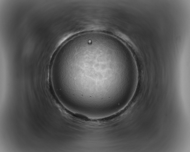 X0000085221220200703091153