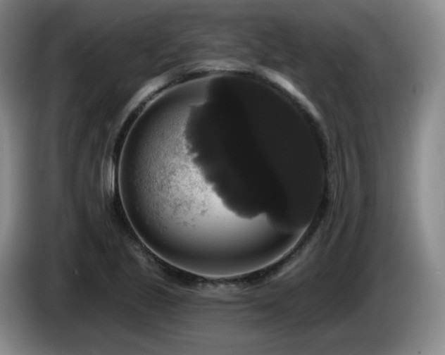 X0000085221221200703091153