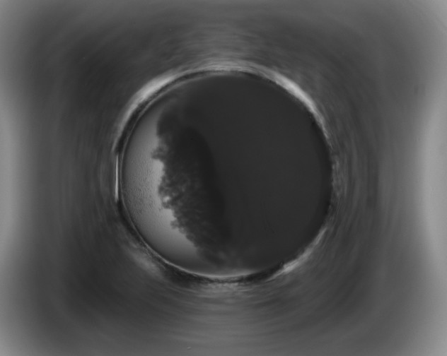 X0000085221223200703091153