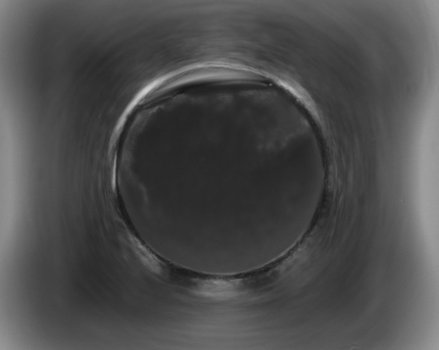 X0000085221224200703091153