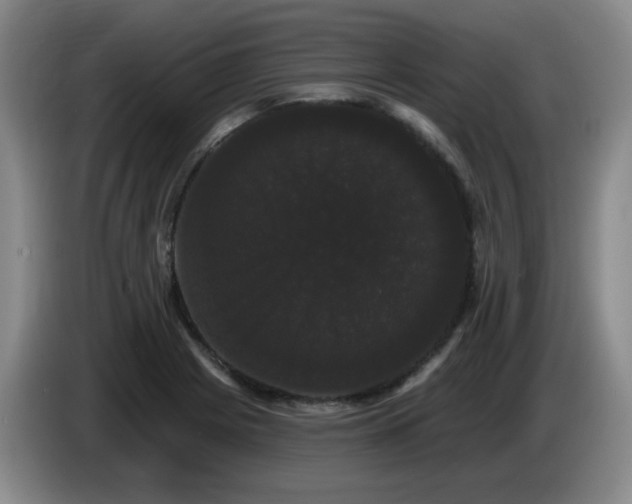 X0000085221225200703091153