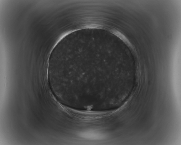 X0000085221228200703091153