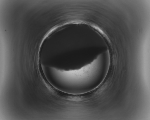 X0000085221229200703091153