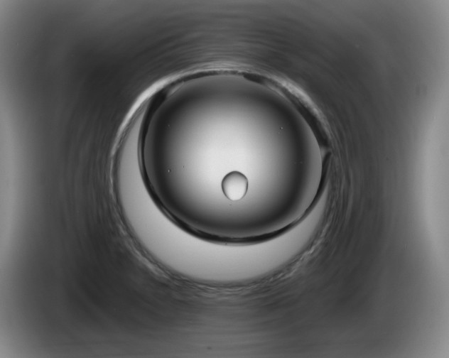 X0000085221230200703091153