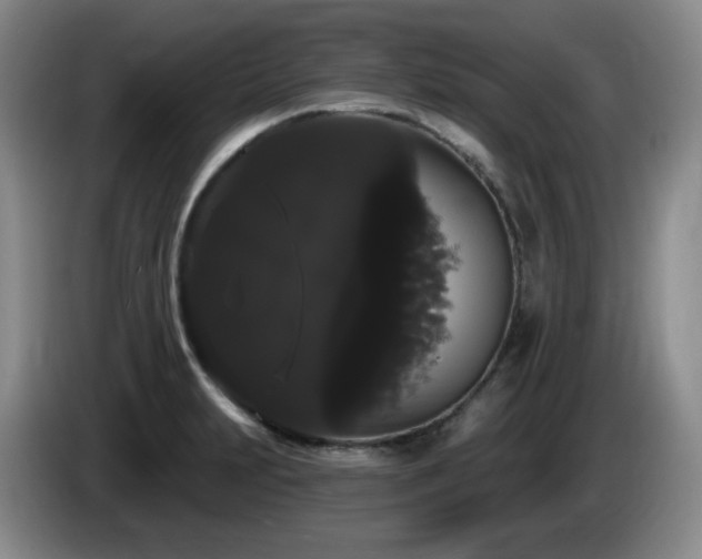X0000085221231200703091153