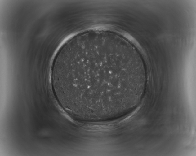 X0000085221232200703091153