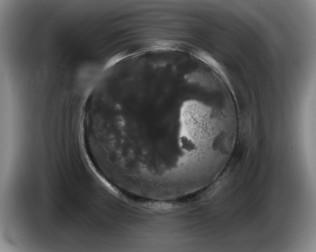 X0000085221235200703091153