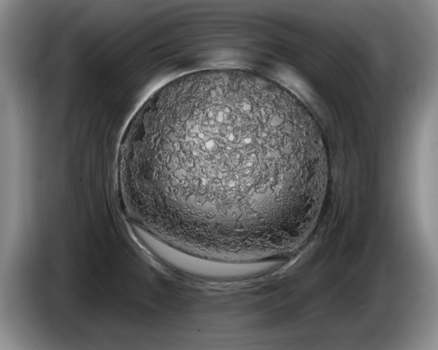 X0000085221236200703091153