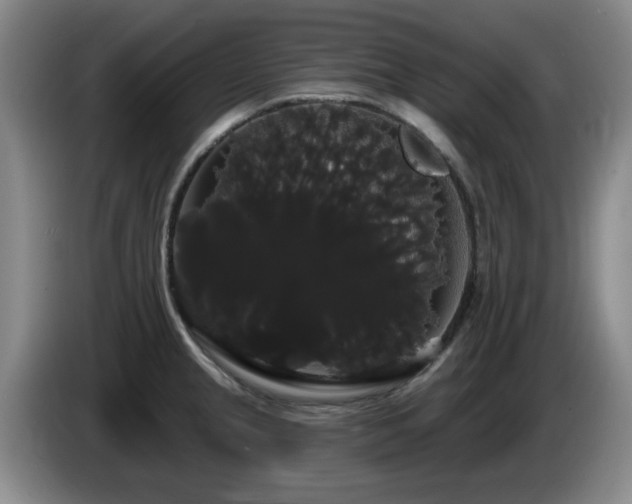 X0000085221237200703091153