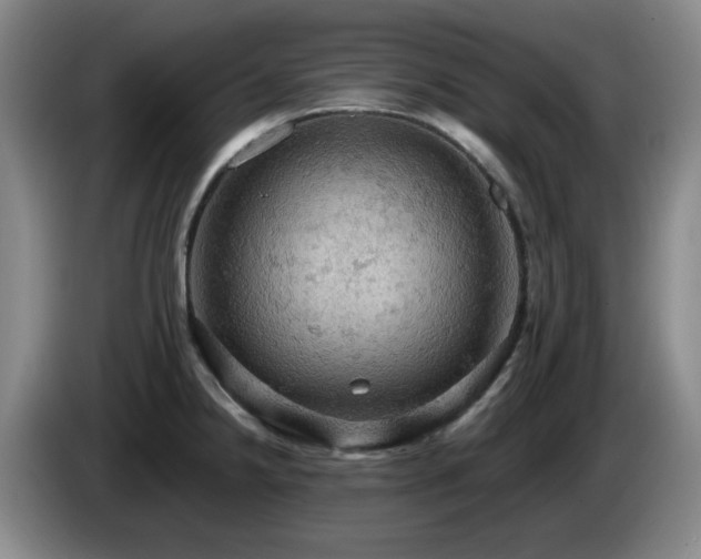 X0000085221238200703091153