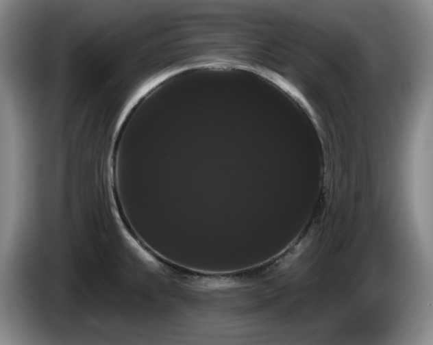 X0000085221239200703091153
