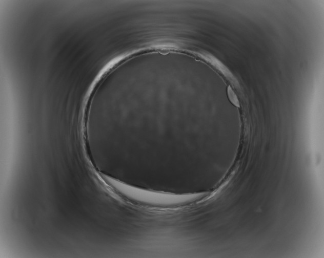 X0000085221240200703091153
