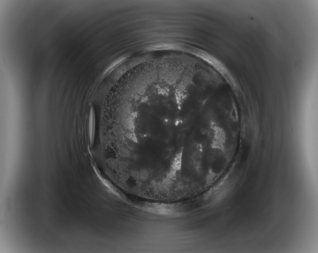 X0000085221241200703091153