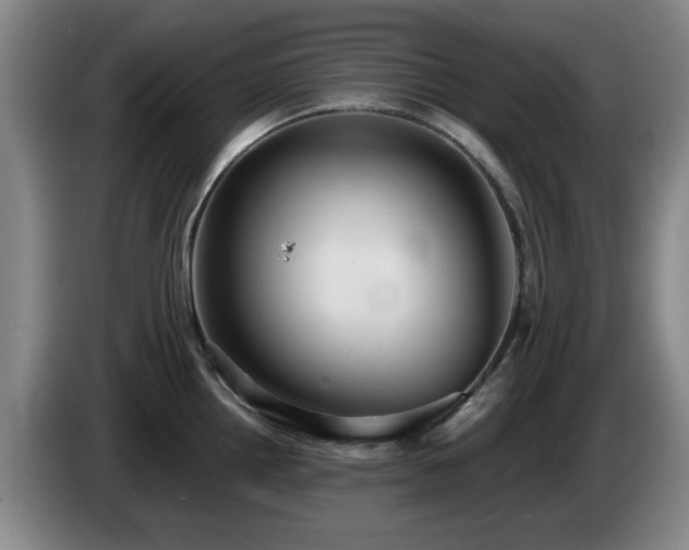 X0000085221242200703091153