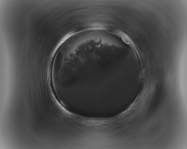 X0000085221243200703091153