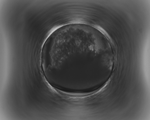 X0000085221244200703091153