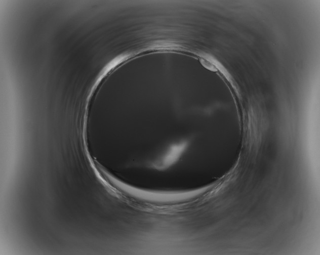 X0000085221245200703091153
