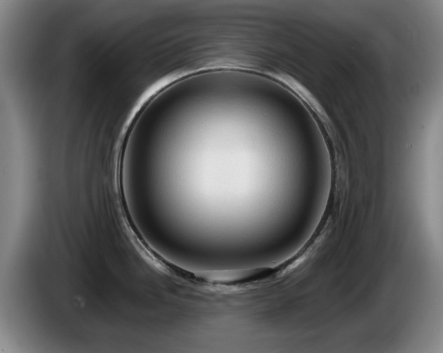 X0000085221246200703091153
