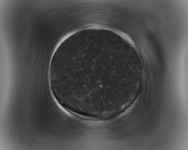 X0000085221247200703091153