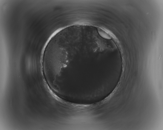 X0000085221248200703091153
