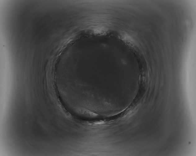 X0000085221249200703091152