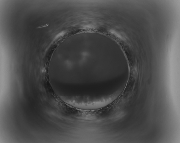X0000085221254200703091152