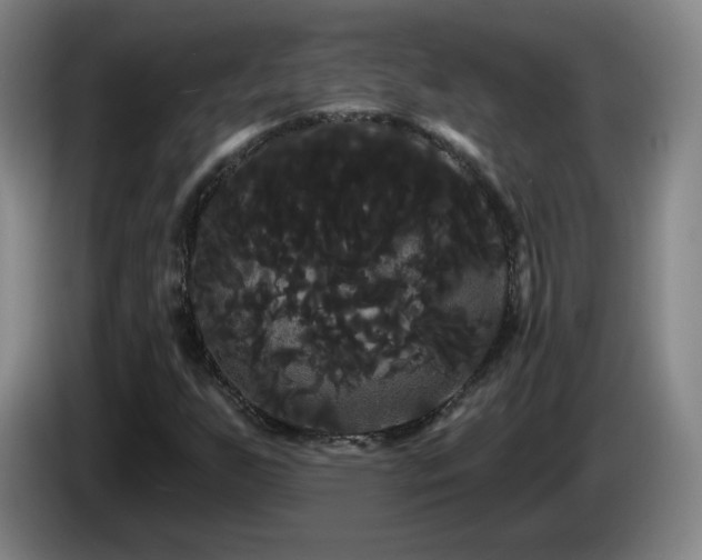 X0000085221255200703091152
