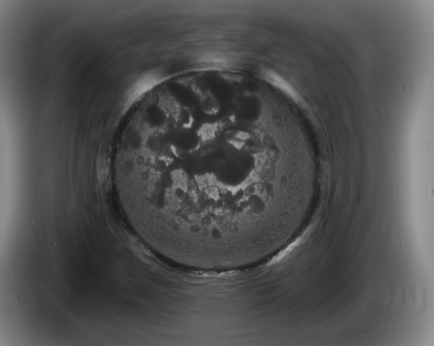 X0000085221259200703091152