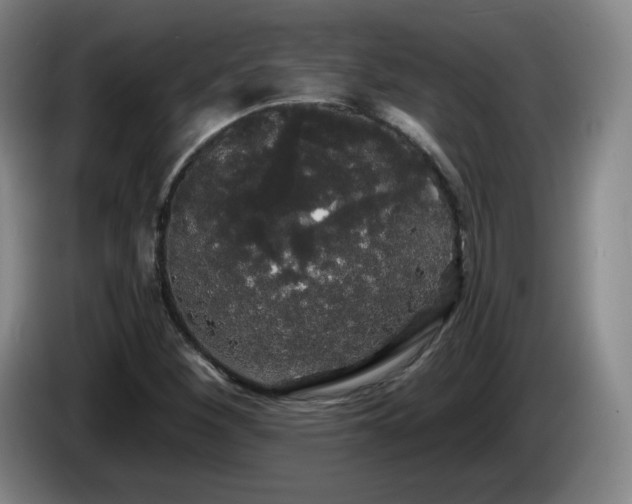 X0000085221260200703091152