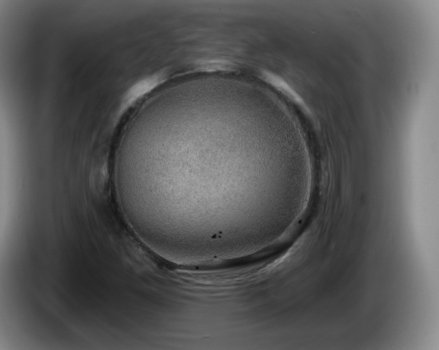 X0000085221261200703091152