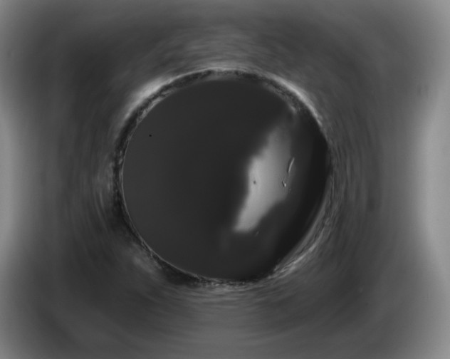 X0000085221263200703091152