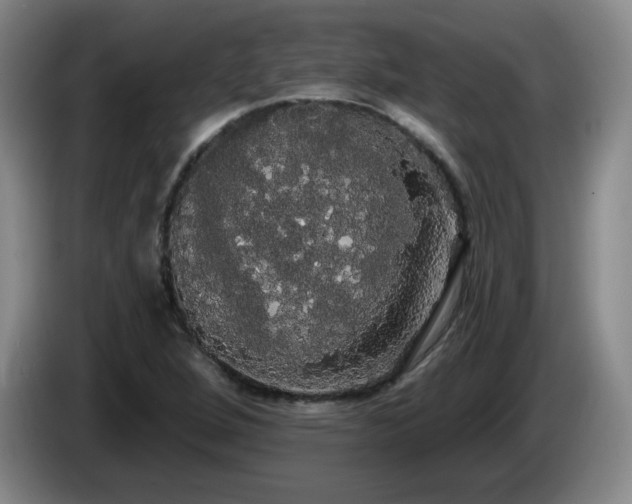 X0000085221264200703091152