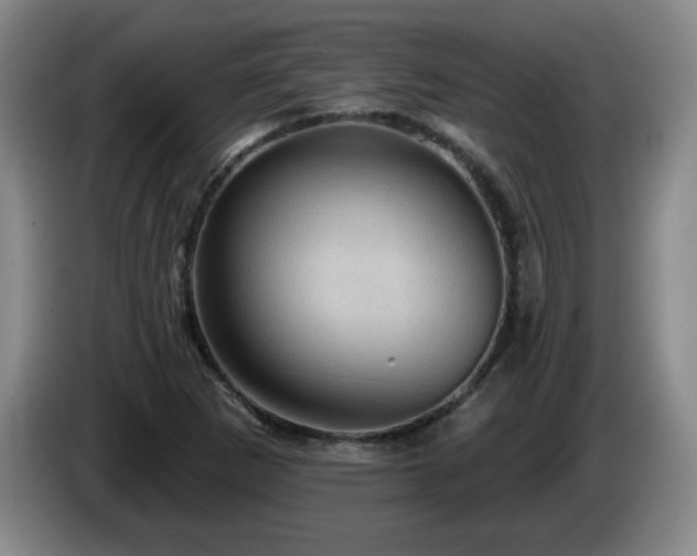 X0000085221265200703091152