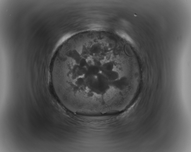 X0000085221267200703091152