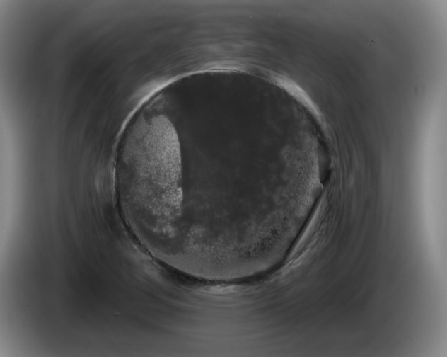 X0000085221268200703091152