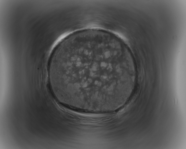 X0000085221271200703091152