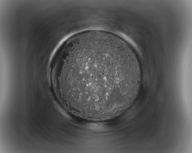 X0000085221272200703091152