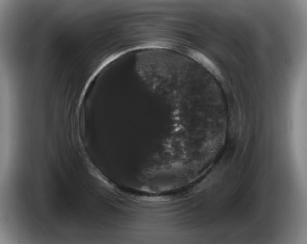 X0000085221276200703091152