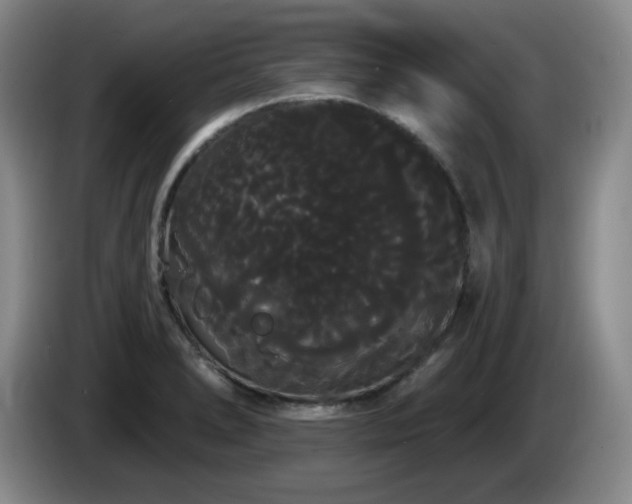 X0000085221278200703091152