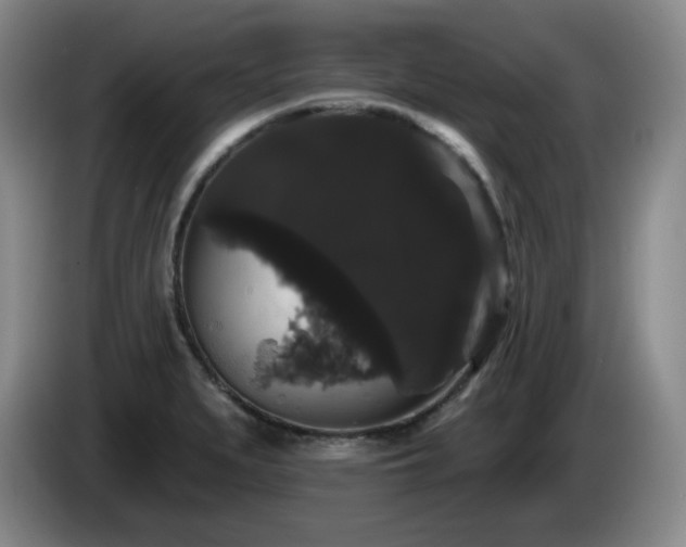 X0000085221279200703091152