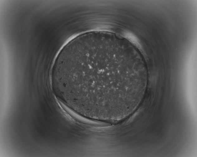 X0000085221284200703091152