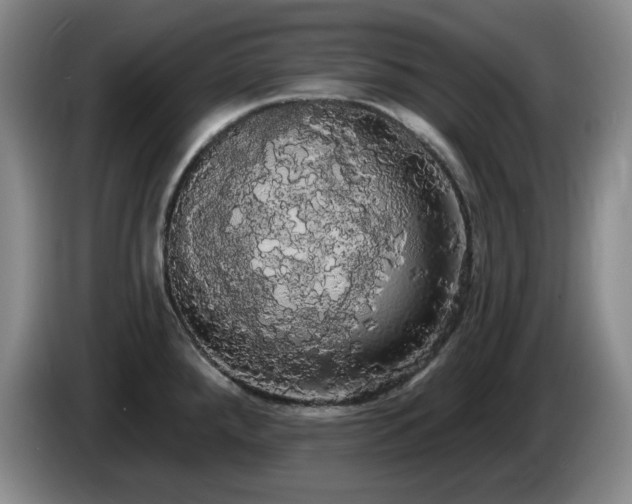 X0000085221288200703091152