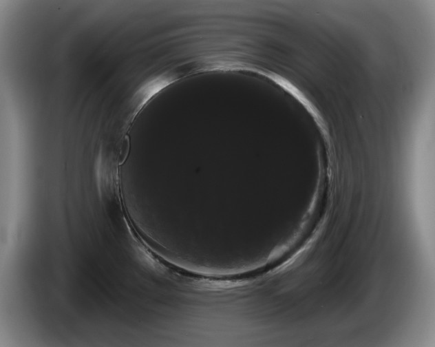 X0000085221289200703091152
