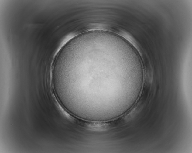 X0000085221290200703091152