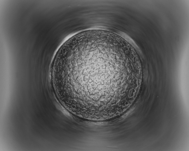 X0000085221292200703091152