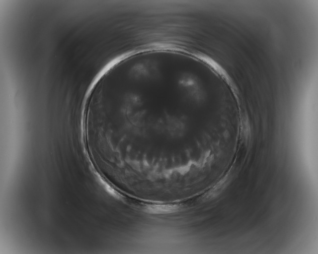 X0000085221294200703091152