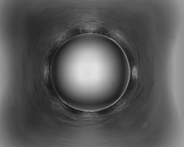 X0000085221299200703091151