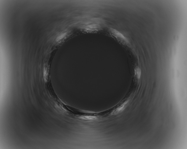 X0000085221300200703091151